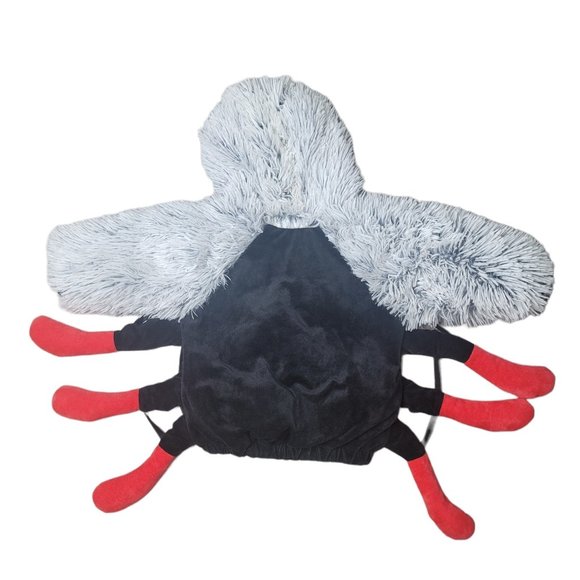 Halloween spider baby costume little miss Muffit, itsy bitsy spider, Charlotte - Picture 4 of 5